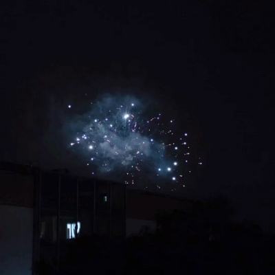 疯狂丛林动物竞速游戏下载