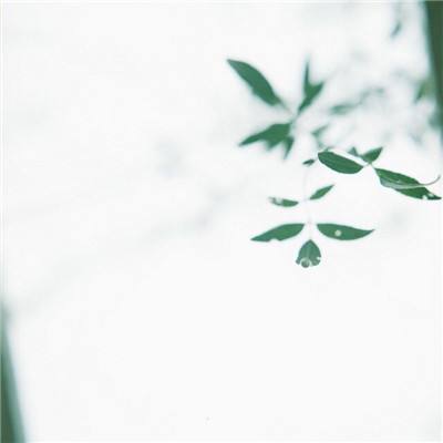 归云诀游戏